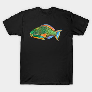 Parrot fish T-Shirt